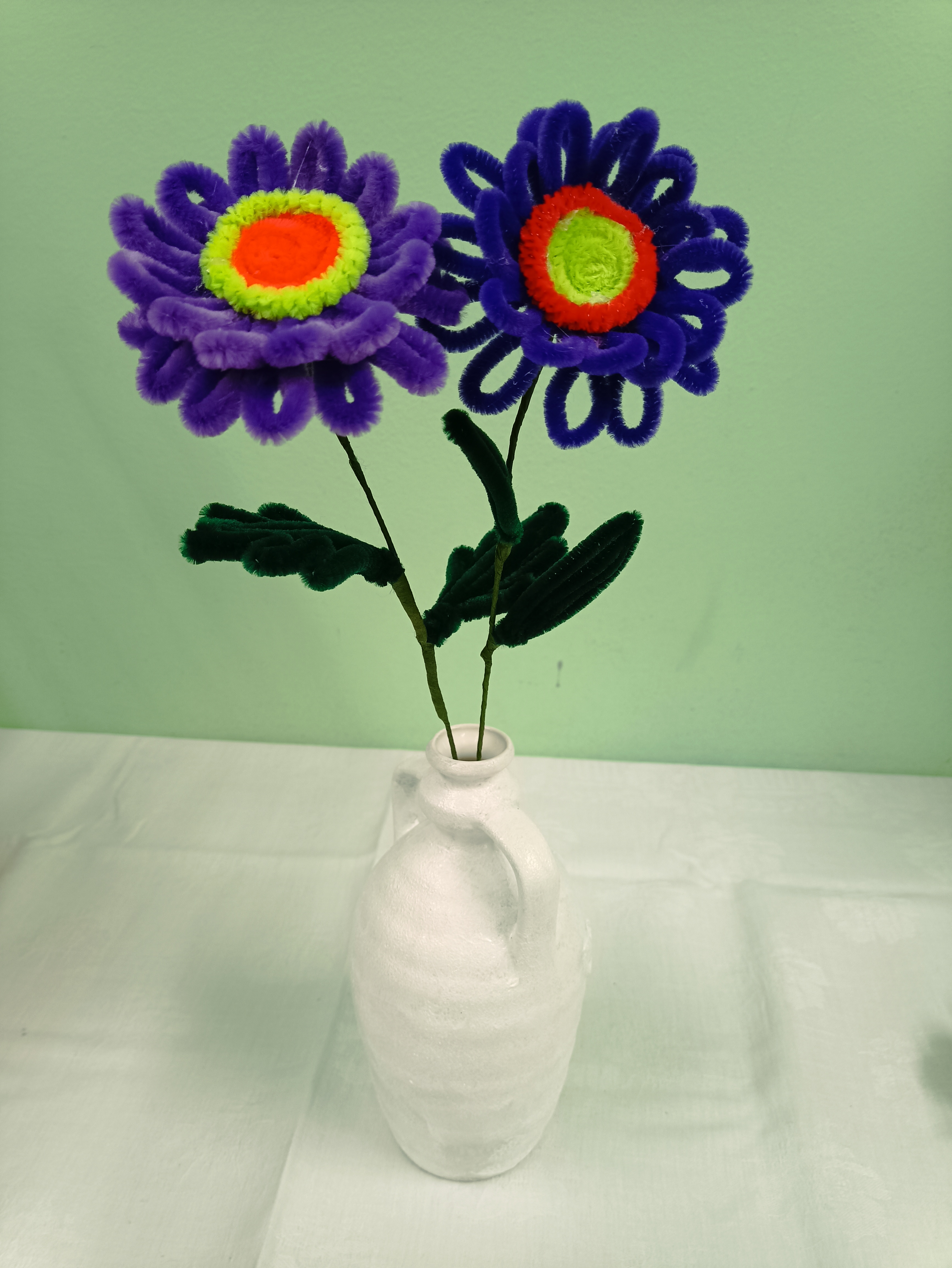 IMG_20241129_160755